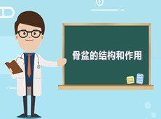 【醫(yī)療科普】：你知道骨盆在人體中有什么作用嗎？